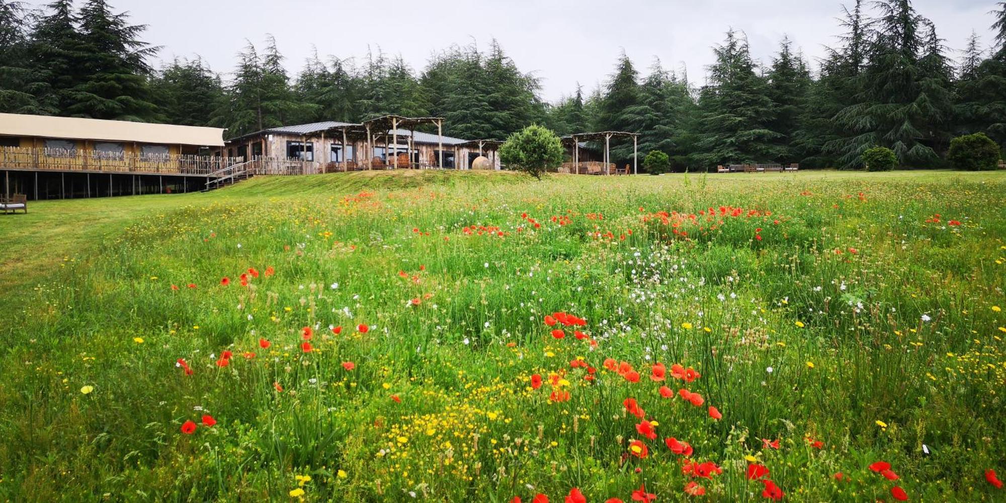 Domaine De La Vitarelle Glamping Villaniere Buitenkant foto