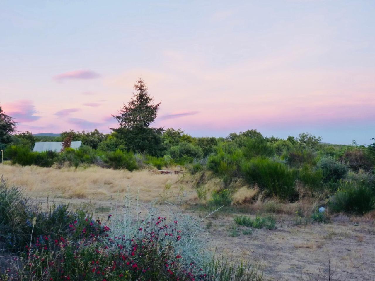 Domaine De La Vitarelle Glamping Villaniere Buitenkant foto